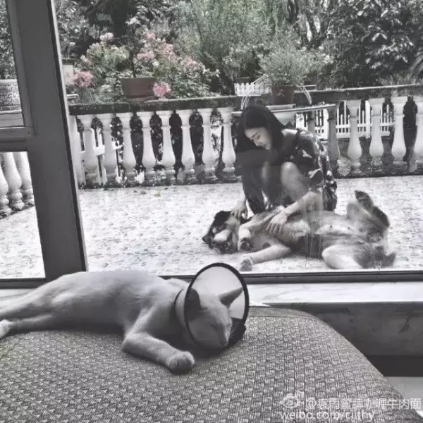 楊冪工作室新簽三位女藝人曝光,看到第三位,網友全爆炸了:千萬不要簽!