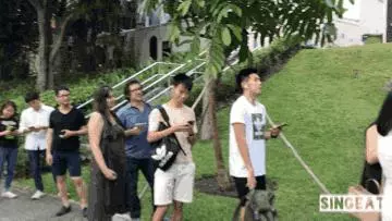 排了一條街的隊,吃一碗新加坡最好吃的鰻魚飯,值了!