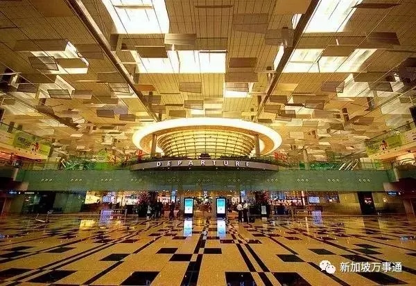 在新加坡,為什麼人人都想睡「它」?
