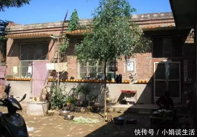 妻子為救丈夫失去雙腿,丈夫不辭而別,十年後相見,妻子愣住了!