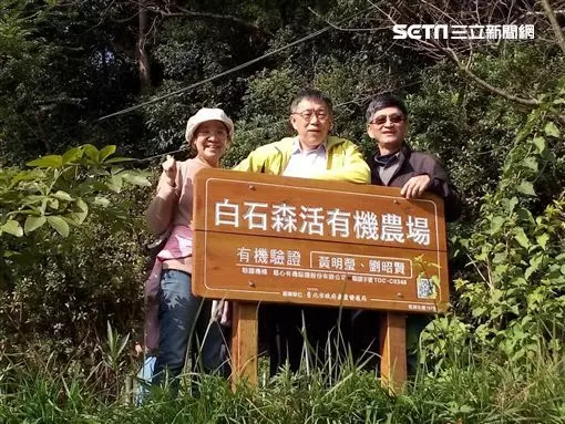 遠眺山林之美 內湖採果秘境大公開!
