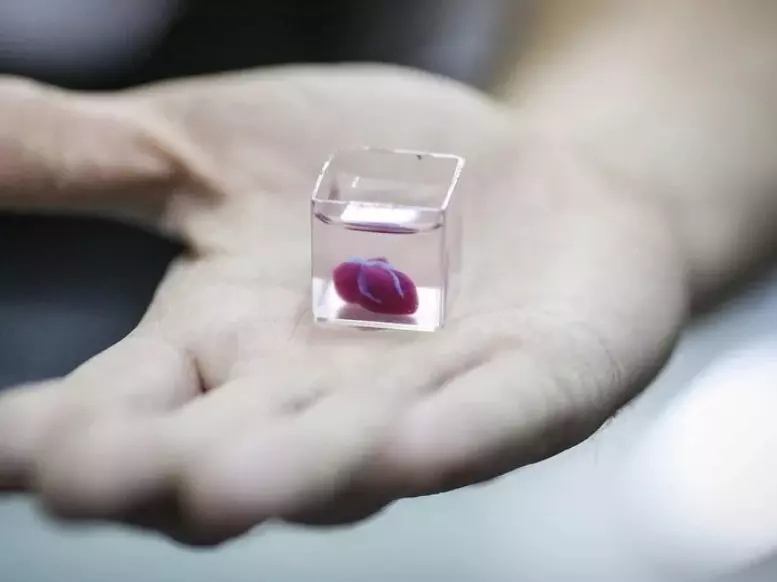 未來不用等移植! 全球第一顆3D列印「人工心臟」問世