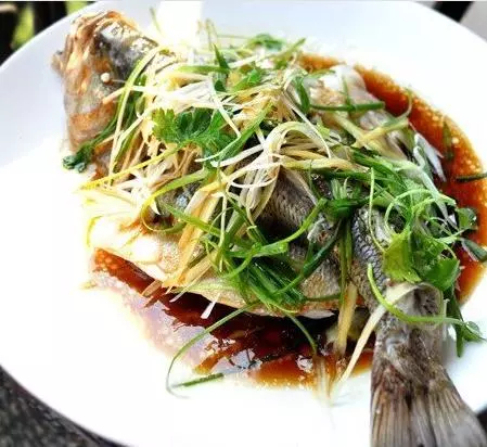26道家常營養午餐,中看又好吃,雙重享受呦