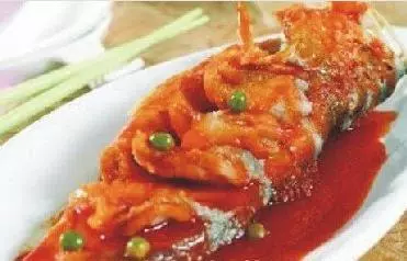 26道家常營養午餐,中看又好吃,雙重享受呦