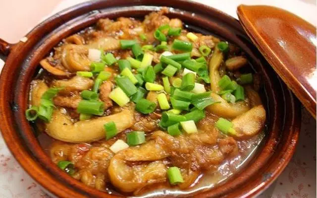 26道家常營養午餐,中看又好吃,雙重享受呦