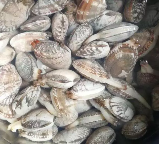 炒花蛤,掌握這個花蛤去沙的方法,泥沙去除得又快又徹底