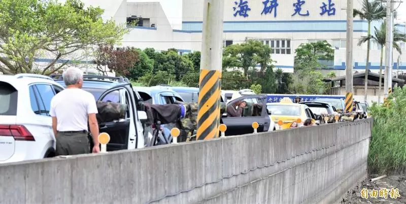 澳洲紫水雞台灣「處女秀」! 宜蘭農路一 夕成賞........