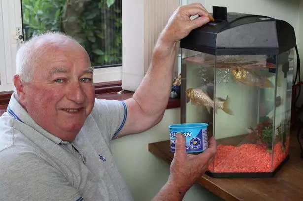 英國「最長壽金魚」見證老夫妻的一生 44年後飼主痛哭:我們失去了一生寄託