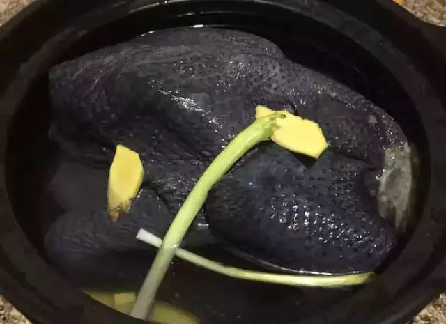 煲雞湯要不要焯水?第一步就錯了,難怪煲出來的雞湯不香不好喝