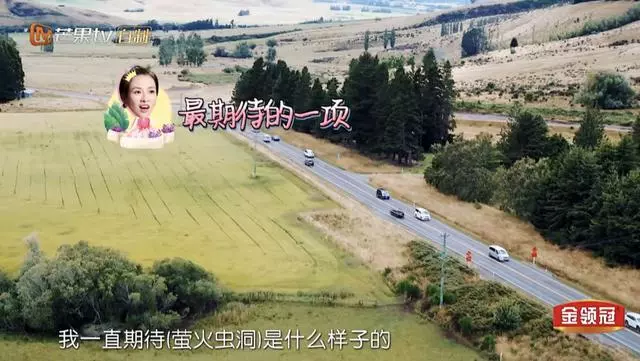 《妻旅2》膽大袁詠儀遇這事「慫」了,網友卻贊:靚靚好可愛!