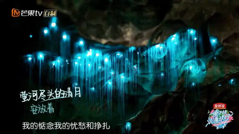 《妻旅2》膽大袁詠儀遇這事「慫」了,網友卻贊:靚靚好可愛!
