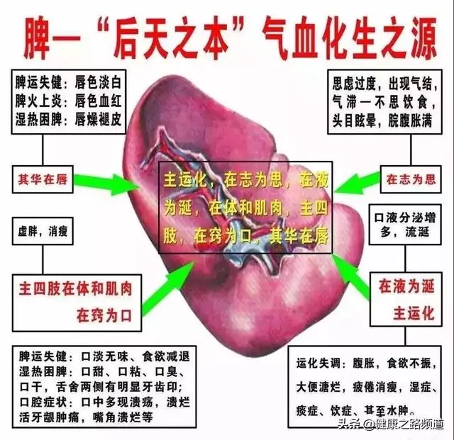 專家說:脾胃虛不虛?掐掐這裡就知道?