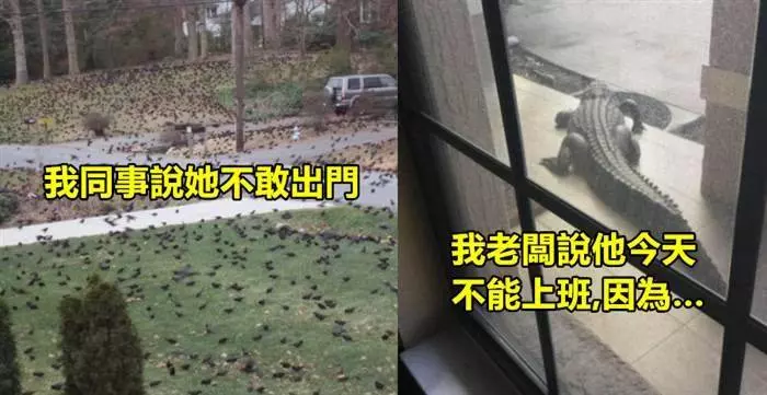 「史上最扯最無奈的21個請假原因!」~~~~