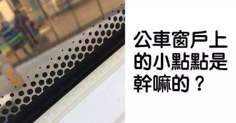大家一直很想知道的20個答案!#網友秒找到真相回答你的疑問!~~~