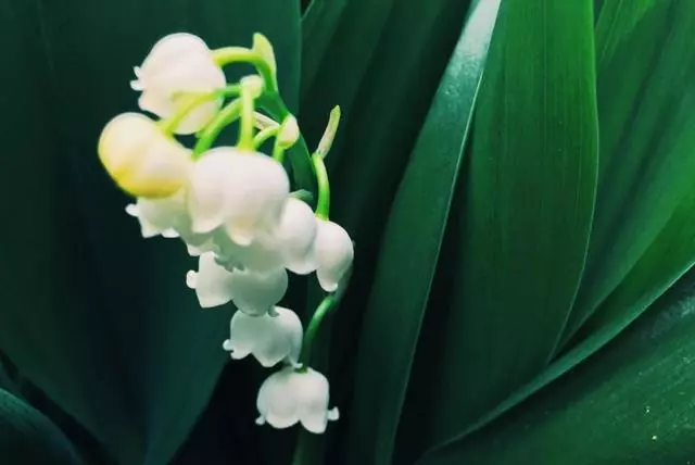 你第一眼看到什麼號碼,就能看出你內心深處的情緒狀態!太凖了