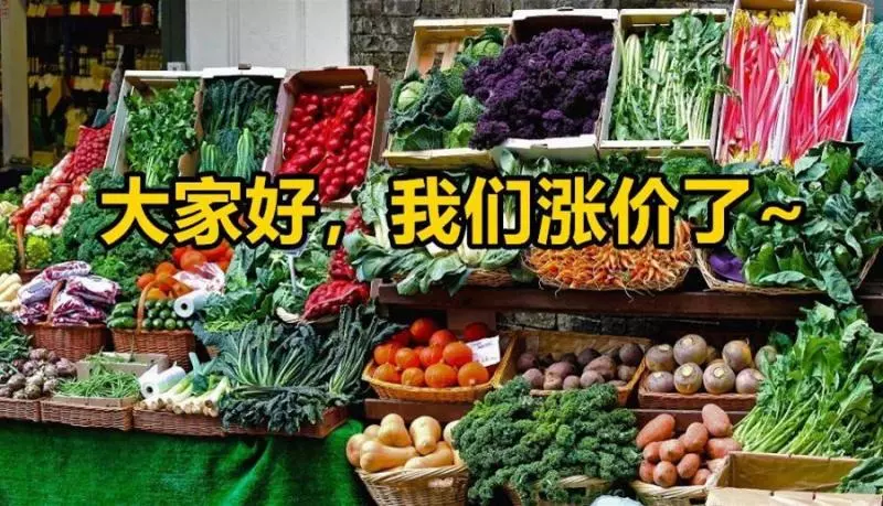 漲了又漲~本月起,新加坡一波東西大漲價!菜價最高飆三倍!