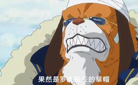 海賊王:草帽隱藏神秘代碼,七大強者看到草帽,明白了羅傑的意思