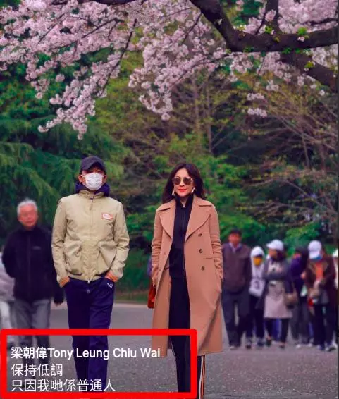 梁朝偉疑對鄭秀文許志安事件表態,五句話點評盡顯成熟男人本色!