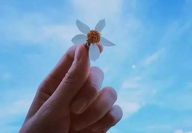 人不爭,事不比,心不求