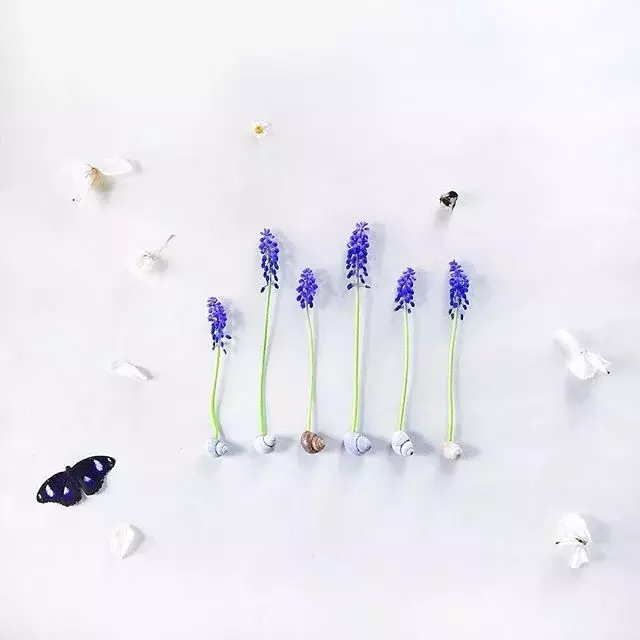 人不爭,事不比,心不求