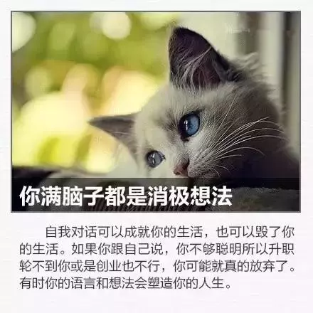 12個最浪費生命的習慣