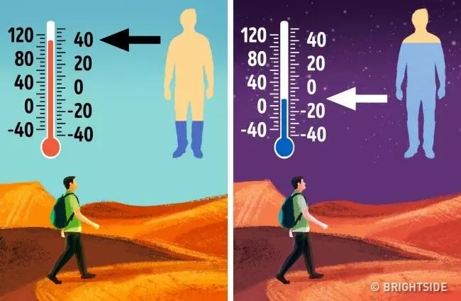 14個多多少少一定得懂一點的「野外求生技巧」!~~~