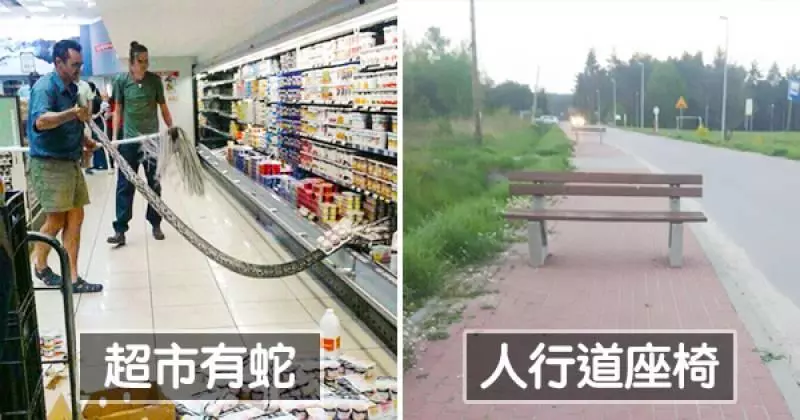 用OK繃就可以修車?28個「讓大家頭腦有很多問號」的奇人怪事!