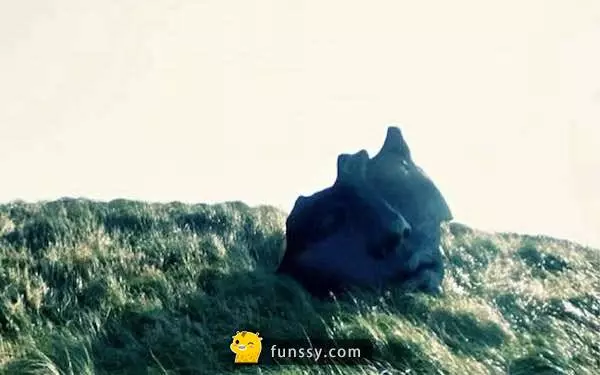 8張從Google地球拍下的超驚悚照片 ...~~~