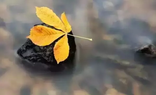 人到中年,要學會無情一點!(說的太現實了)