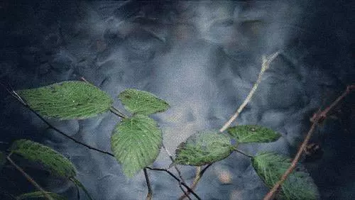 人到老年,請你別活的那麼累,句句經典,一定要看!