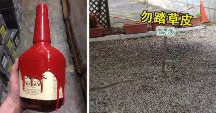 20張「讓你覺得白眼不夠翻」日常蠢照!玉米青豆傻傻分不清楚!~~~