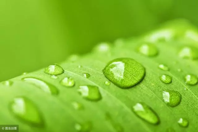 三個保健小動作,幫您搞定穀雨養生!