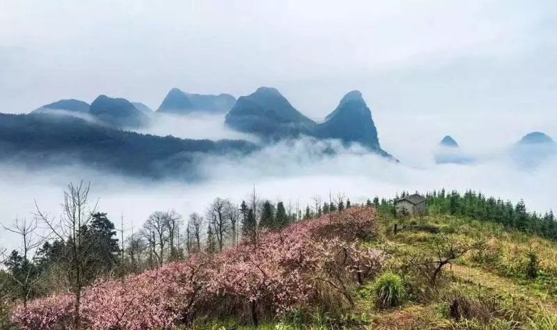 我喜歡,和真性情人的交往。