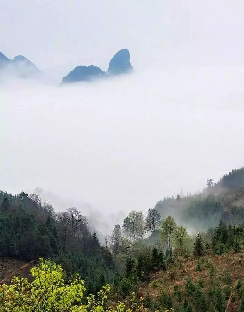 我喜歡,和真性情人的交往。