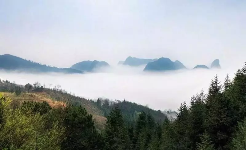 我喜歡,和真性情人的交往。