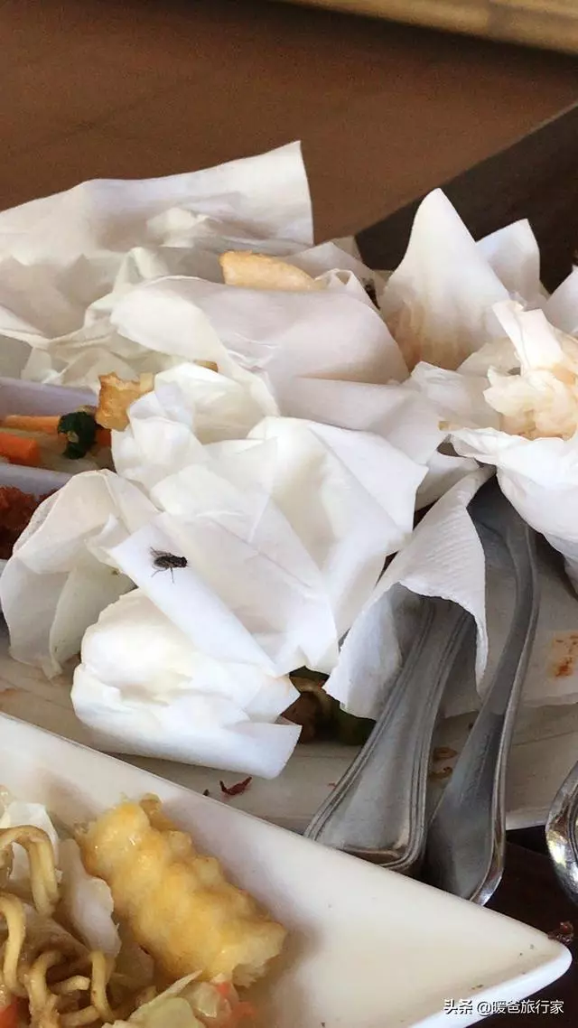 INS網紅搶著去?別被「照騙」忽悠了!粉色沙灘到底什麼樣?