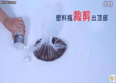 洗衣液瓶別再扔了,只要剪兩剪,價值翻百倍,超實用