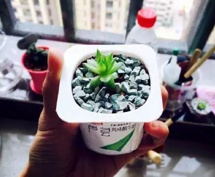優酪乳盒屯起來,用剪子剪一刀,家裡瞬間多出9樣神器,全家人都用得上,太厲害了