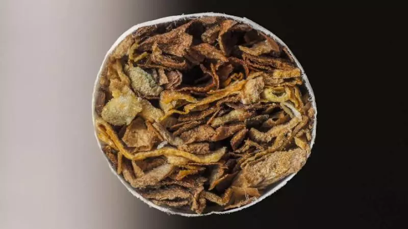 肥皂泡超有藝術感 28張「藏在日常裡的迷你世界」微距鏡頭照片