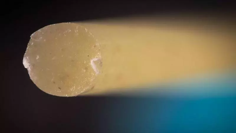 肥皂泡超有藝術感 28張「藏在日常裡的迷你世界」微距鏡頭照片