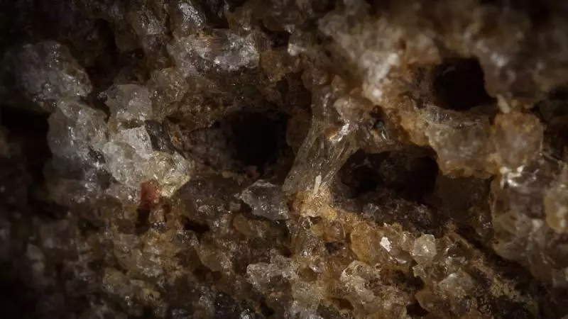 肥皂泡超有藝術感 28張「藏在日常裡的迷你世界」微距鏡頭照片