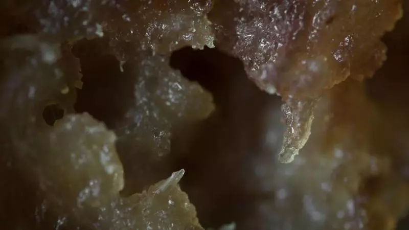 肥皂泡超有藝術感 28張「藏在日常裡的迷你世界」微距鏡頭照片