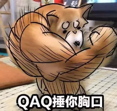 網上這隻旋轉的柴柴快被網友玩壞了!