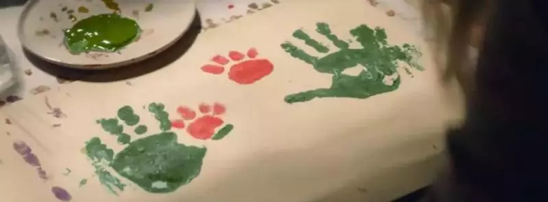 感動無數人的短片:原來這就是狗狗的一生……