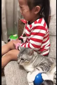 小主人被貓咪搶走玩具後哇哇哭,貓咪無奈讓出玩具:別哭了,給你