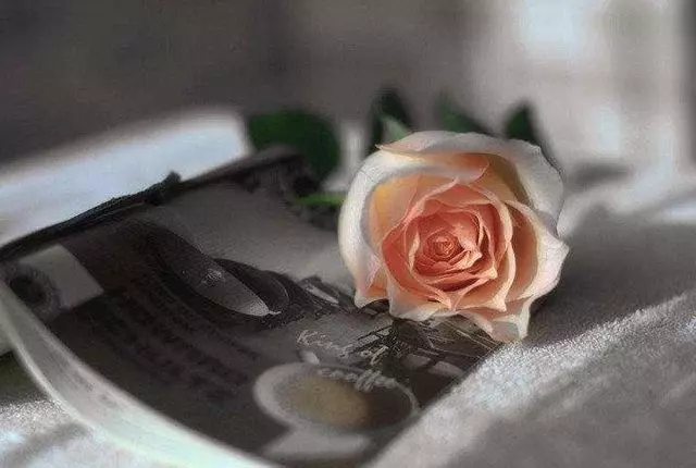 人生最貴的高利貸——人情