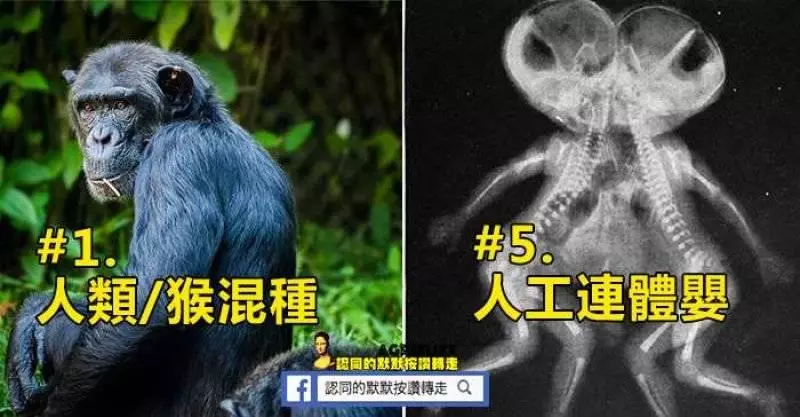 10個「打破你世界觀」的史上著名恐怖實驗