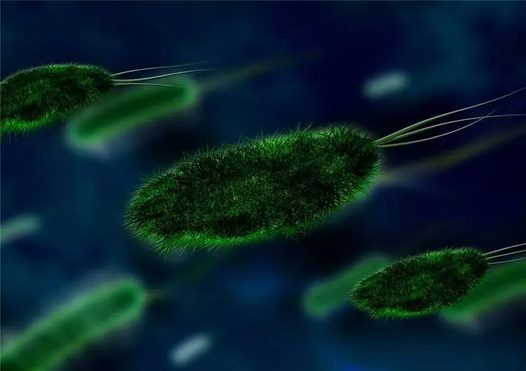 10個「打破你世界觀」的史上著名恐怖實驗