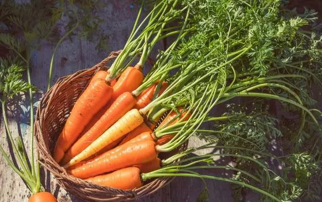 血液粘稠容易血栓怎麼辦?醫生建議:日常多吃這七類食物,減少血栓發生