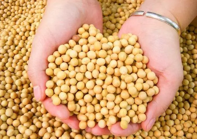 血液粘稠容易血栓怎麼辦?醫生建議:日常多吃這七類食物,減少血栓發生